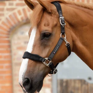 Fleece Padded Head Collar Black