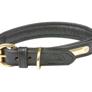 Padded Leather Dog Collar small