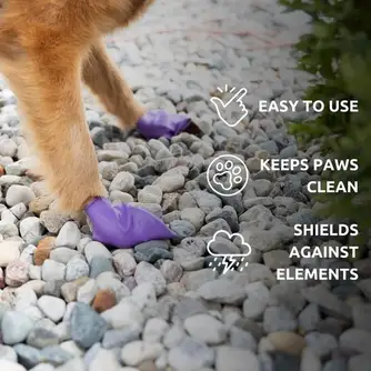 Pawz boots - Image 3