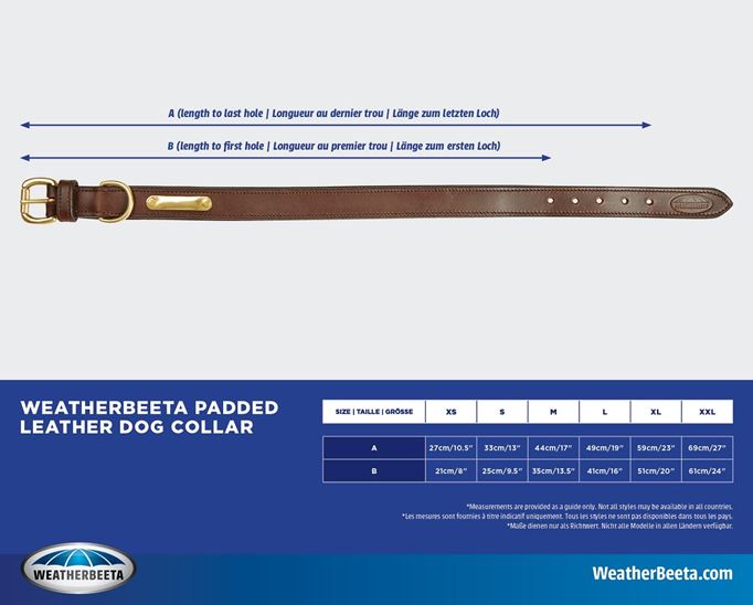 Padded Leather Dog Collar - Image 4