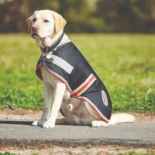 Weatherbeeta 1200D therapy-tec dog coat