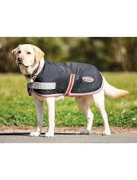 Weatherbeeta 1200D therapy-tec dog coat - Image 2