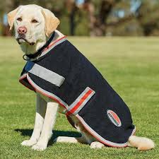 Weatherbeeta therapy-tec dog coat fleece - Image 2