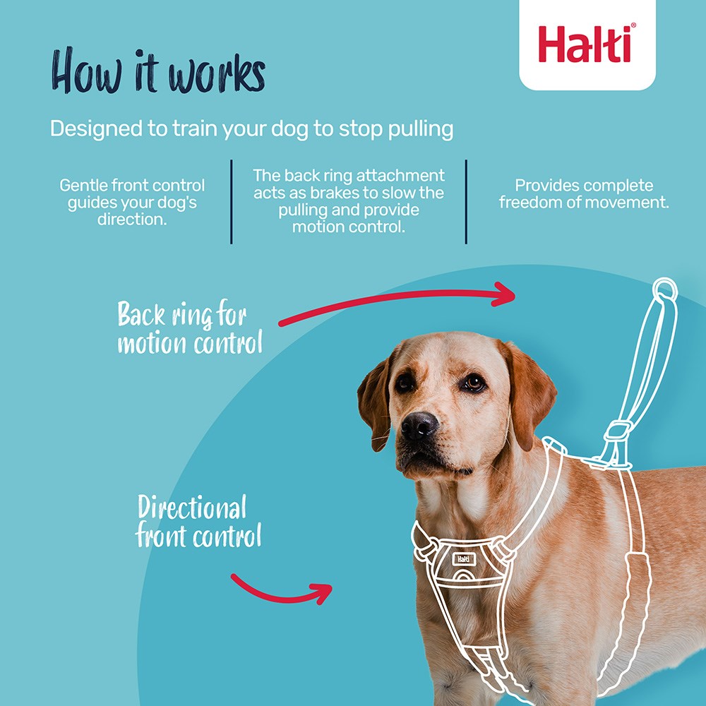 Halti no pull dog harness - Image 2