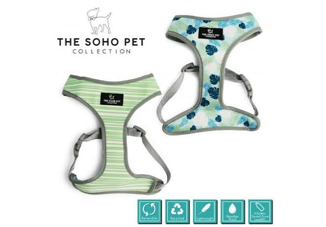 The soho pet collection harness - Image 2