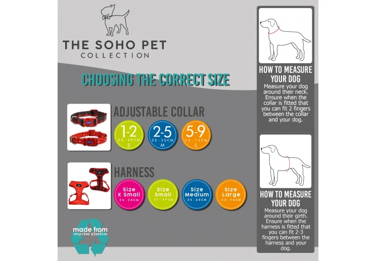 The soho pet collection harness - Image 3