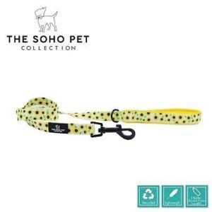 The soho pet padded handle lead