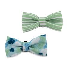 The soho pet bow tie