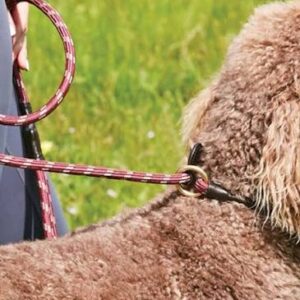 Weatherbeeta Rope Leather Slip Dog Lead (Small)