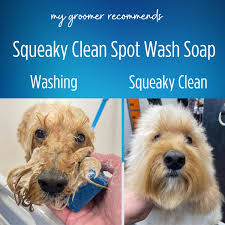 Squeaky clean spot wash soap bar - Image 2