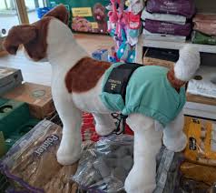 Equafleece dog shorts - Image 2