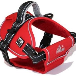 Extreme harness