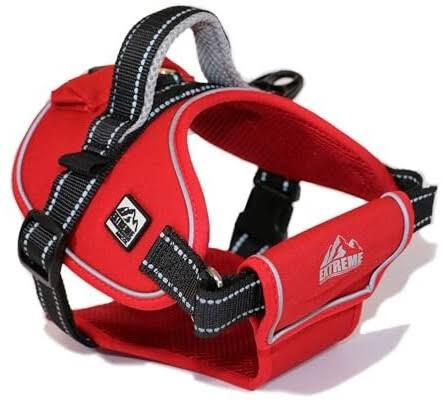 Extreme harness